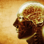 memory improvement benefits citicoline