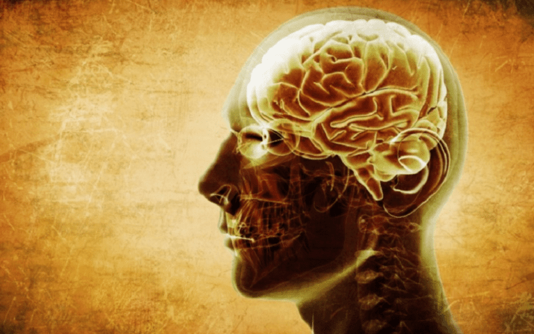 memory improvement benefits citicoline