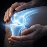 roles of tendons ligaments cartilage