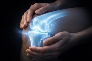 roles of tendons ligaments cartilage