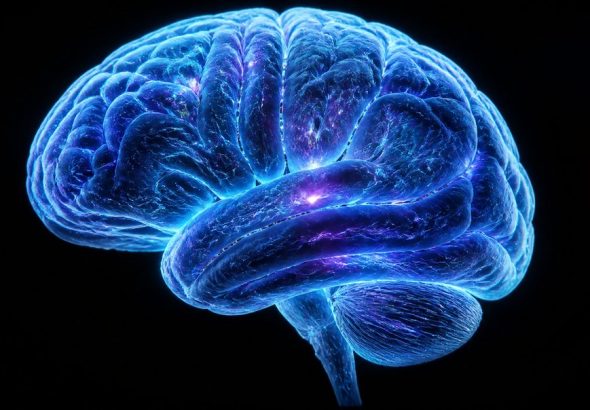 cognitive benefits of being slightly cold