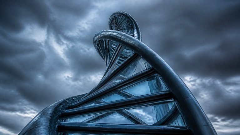 gut-gene connection microbiome