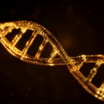 chronic inflammation genetics