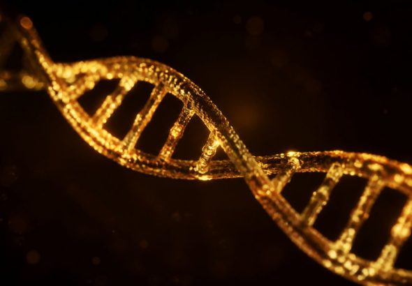 chronic inflammation genetics