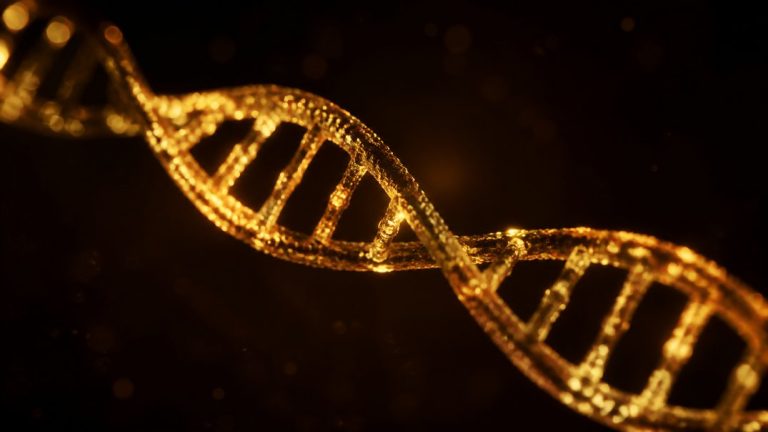 chronic inflammation genetics