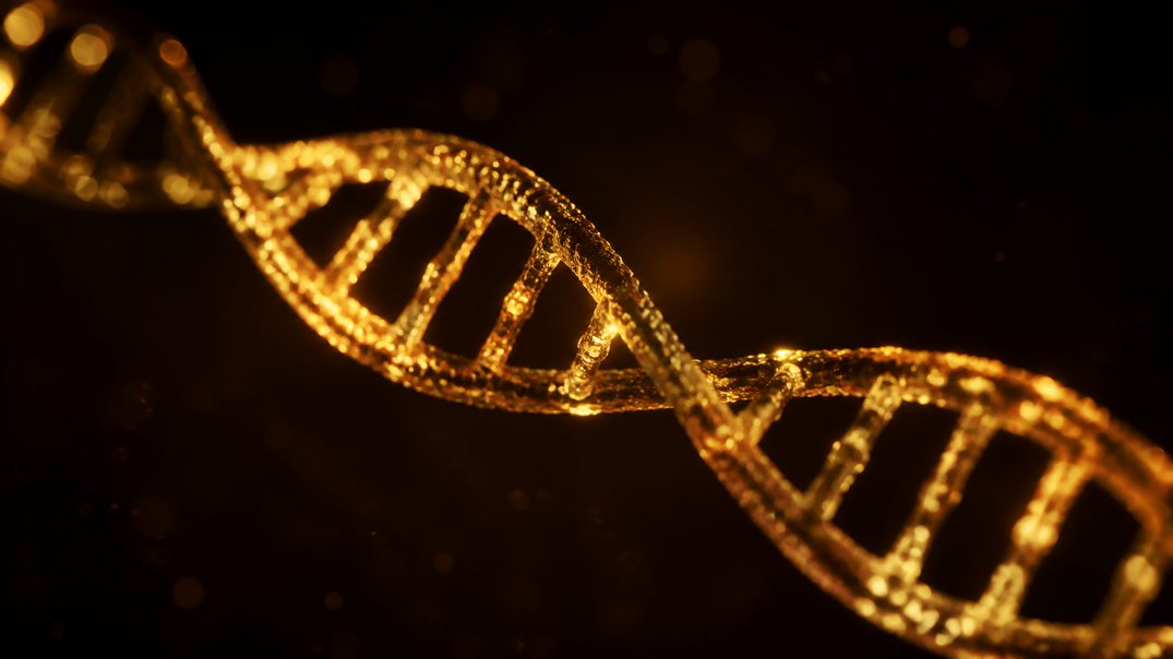 chronic inflammation genetics