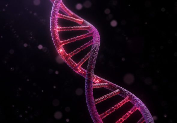 metabolism of siblings differs