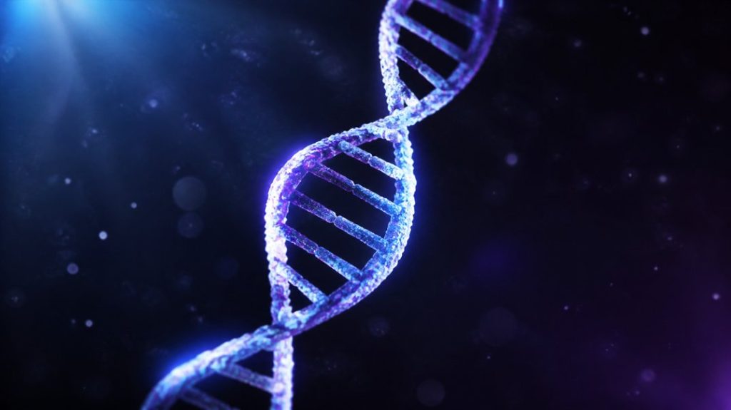 dna genes affect sleep quality