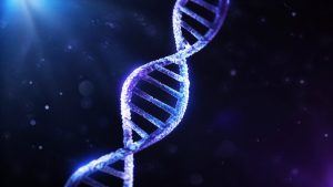 dna genes affect sleep quality