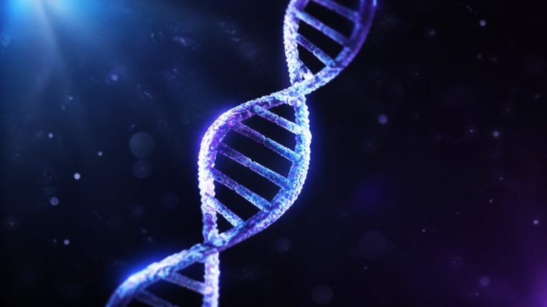 dna genes affect sleep quality