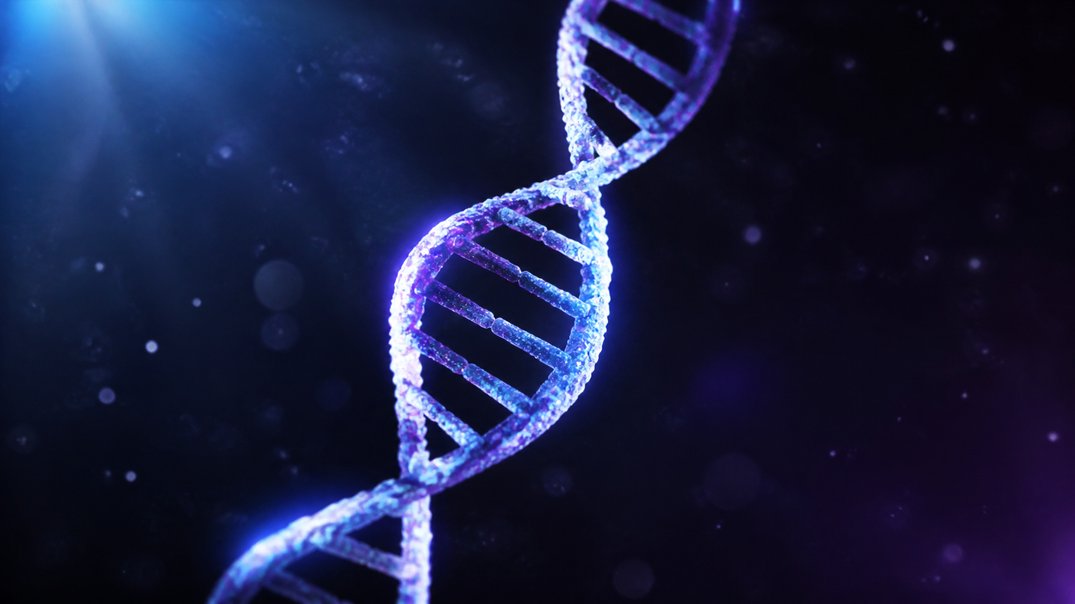 dna genes affect sleep quality