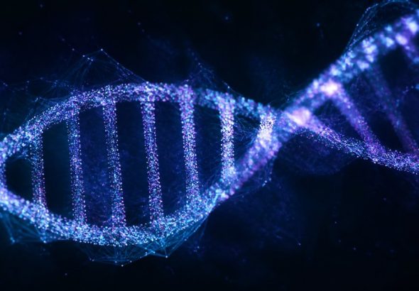 why generic diets fail dna shapes how you process food