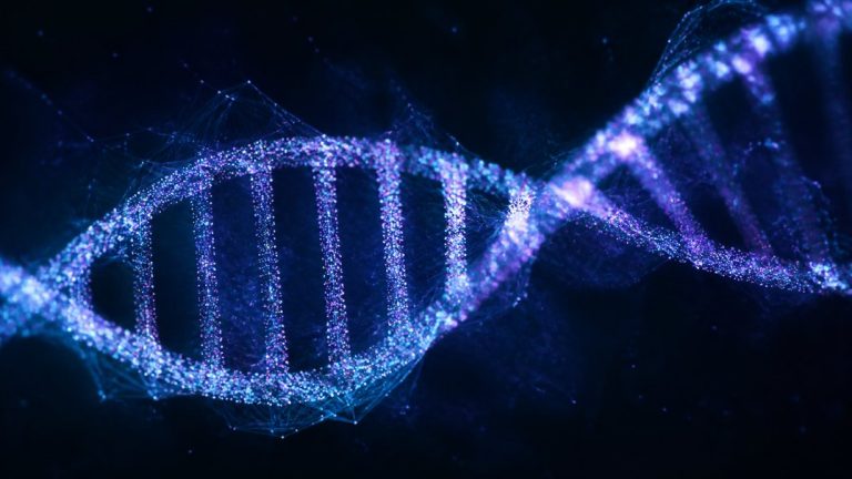 why generic diets fail dna shapes how you process food