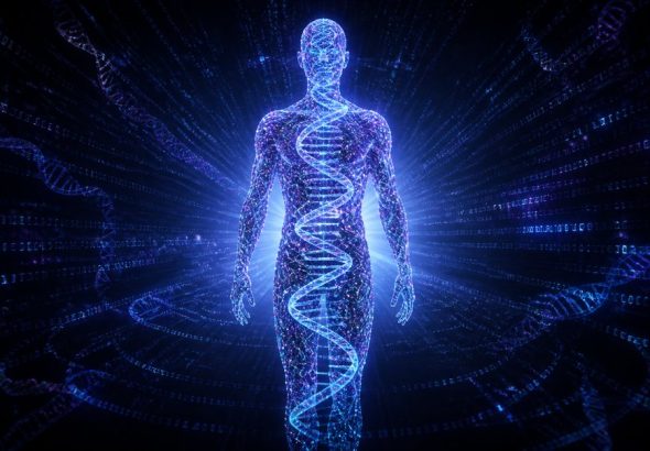 genetics of testosterone dna male hormone
