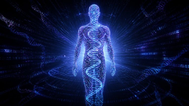genetics of testosterone dna male hormone