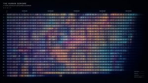 genetics of anxiety