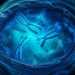 genes determine how well you detox