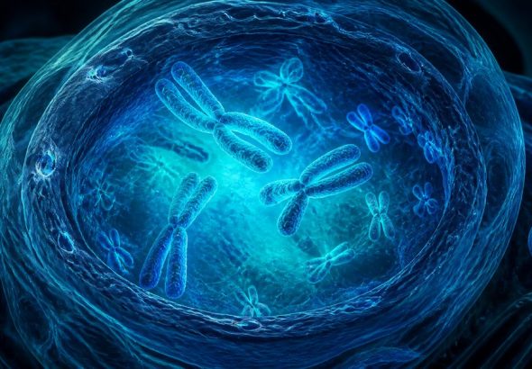 genes determine how well you detox