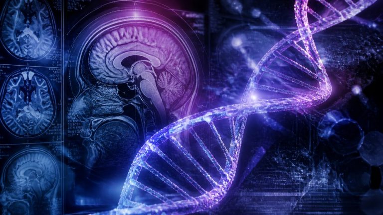 new parents exhaustion genetics