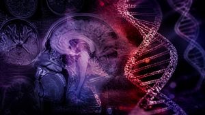 bitter taste aversion survival skill