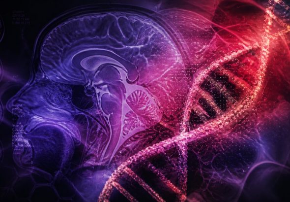 why some people regain weight genetics