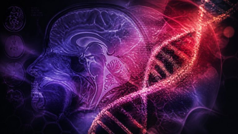 why some people regain weight genetics