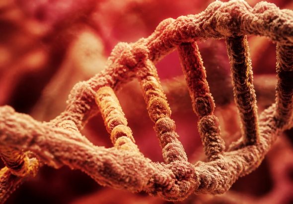 some people build muscle faster genetics
