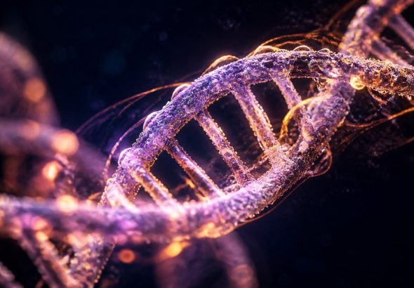 genetics why panic responses feel physical