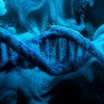 metabolism changes after 40