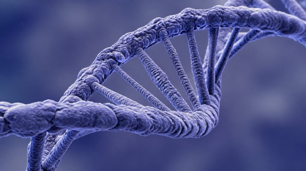 social rejection feels like physical pain genetics