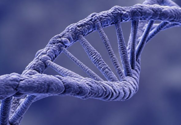 social rejection feels like physical pain genetics