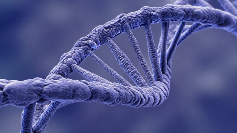 social rejection feels like physical pain genetics