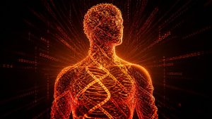 andropause genetics explained