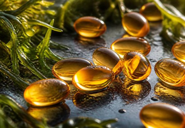 algae oil vs fish oil price breakdown