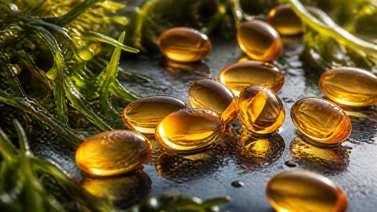 algae oil vs fish oil price breakdown