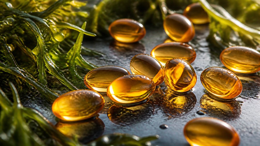 algae oil vs fish oil price breakdown